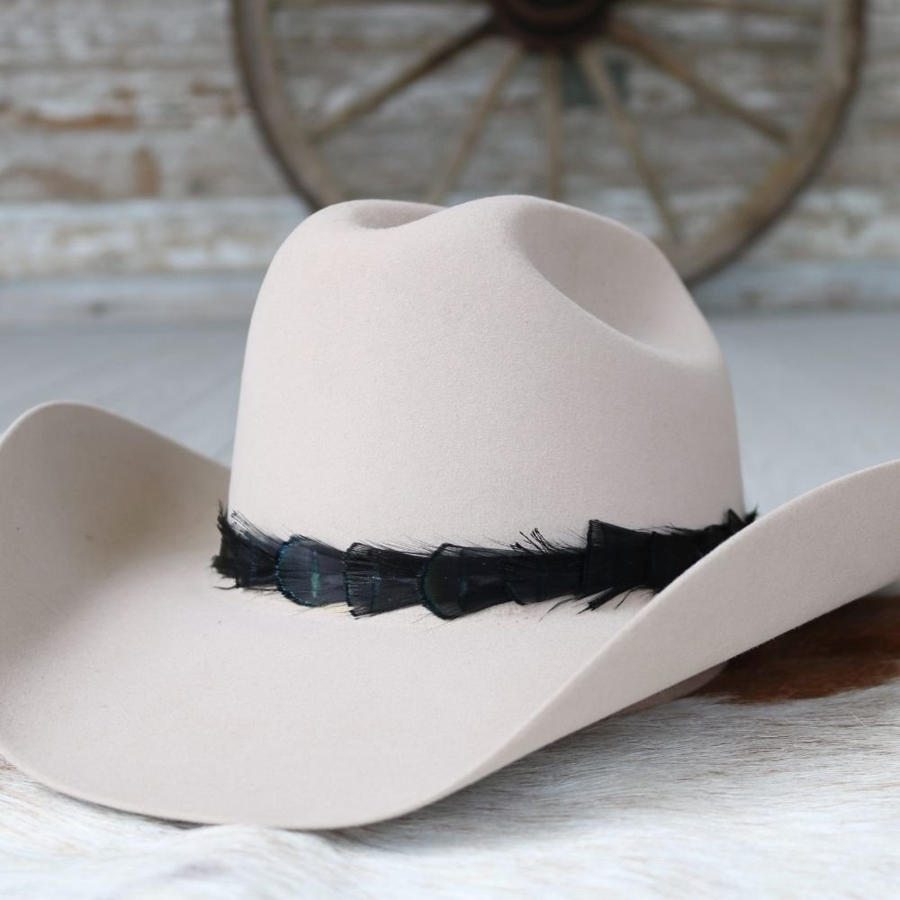 Iridescent Black Feather Hat Band - Sable