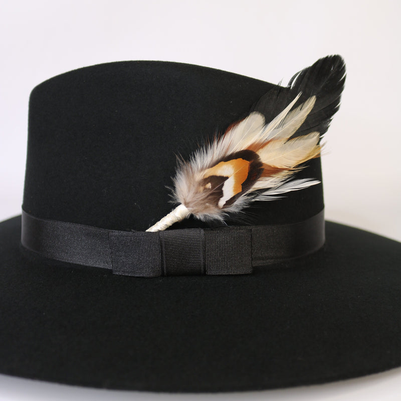 Feather Hat Accent - Ringtail