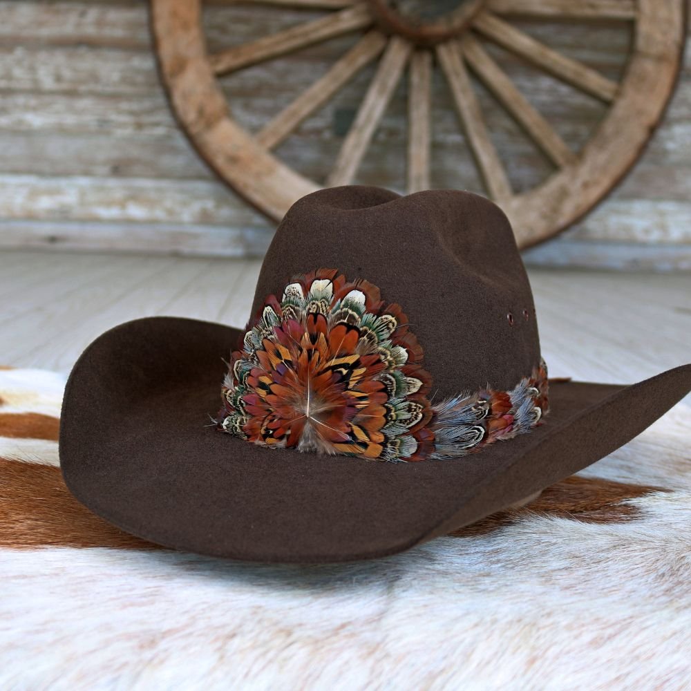 Western feather hat band on dark brown felt hat with multicolor feather centerpiece
