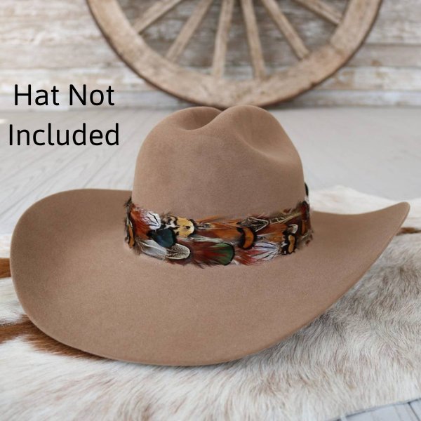 Western Feather Hat Band - Vistoso II