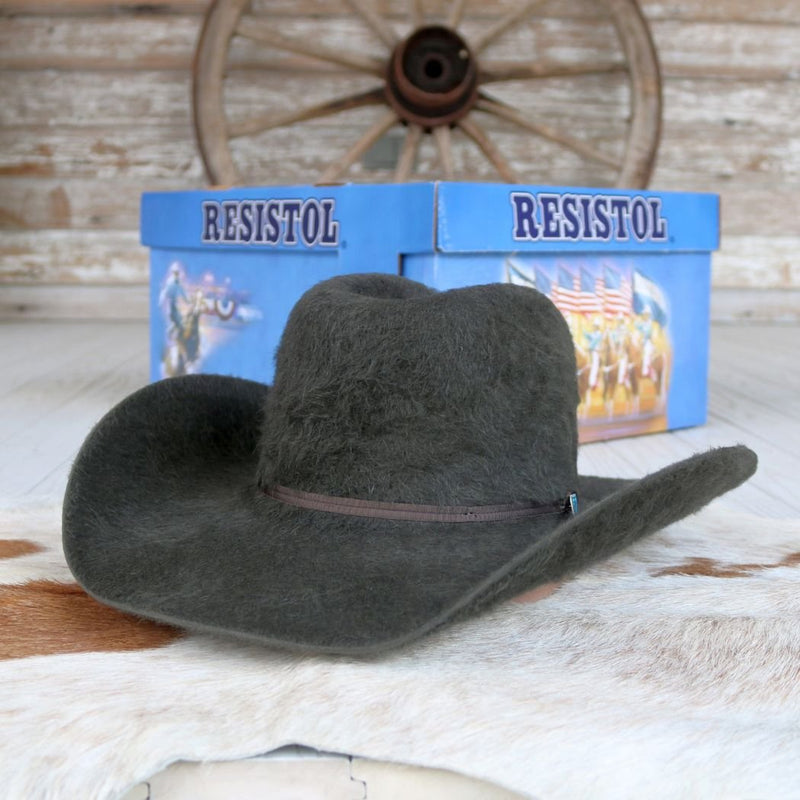 Resistol CJ Grizzly Mountain 6X Sage Cowboy Hat