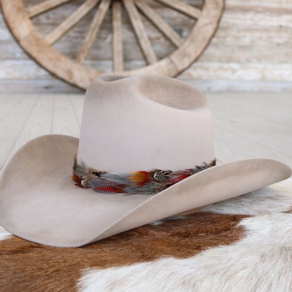 Feather hat band with multicolor feather trim on a light felt cowboy hat on display