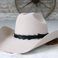 Iridescent Black Feather Hat Band - Sable