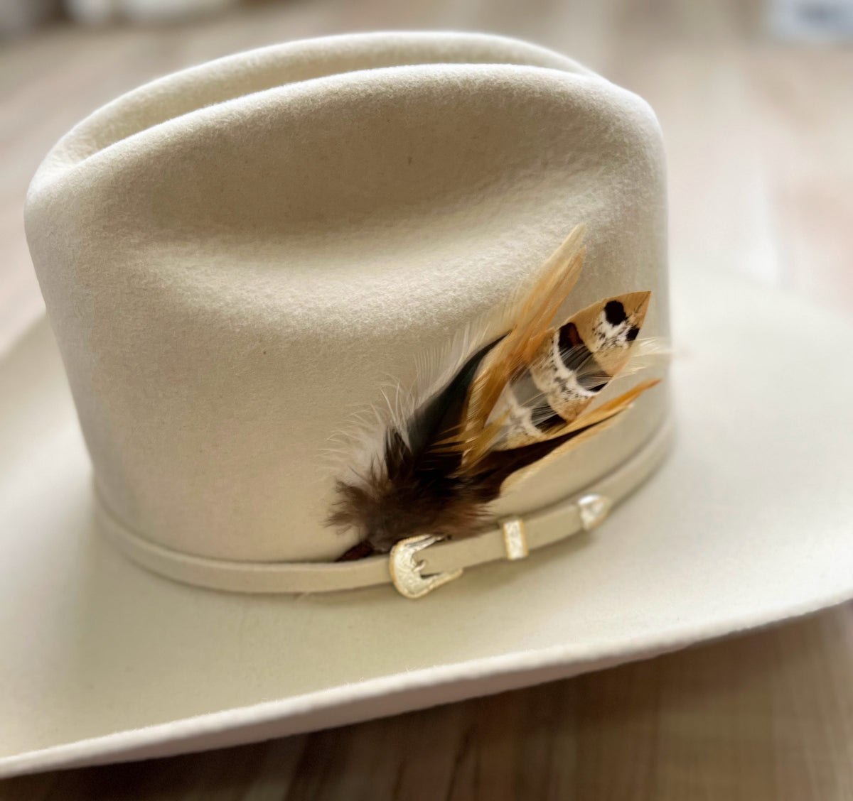 Feather Hat Accent - Katniss