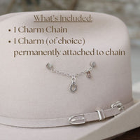Charm Chain + 1 Charm