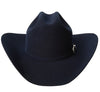 Bailey 4X Navy Blue Fur Felt Cowboy Hat