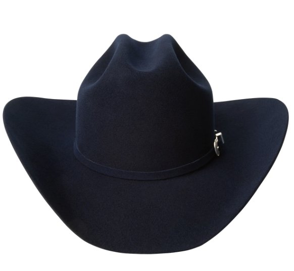 Bailey 4X Navy Blue Fur Felt Cowboy Hat