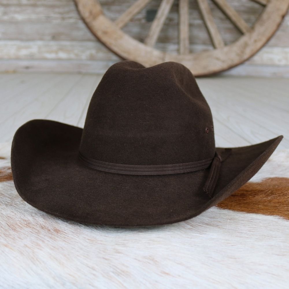 Twister Boys Brown Felt Cowboy Hat
