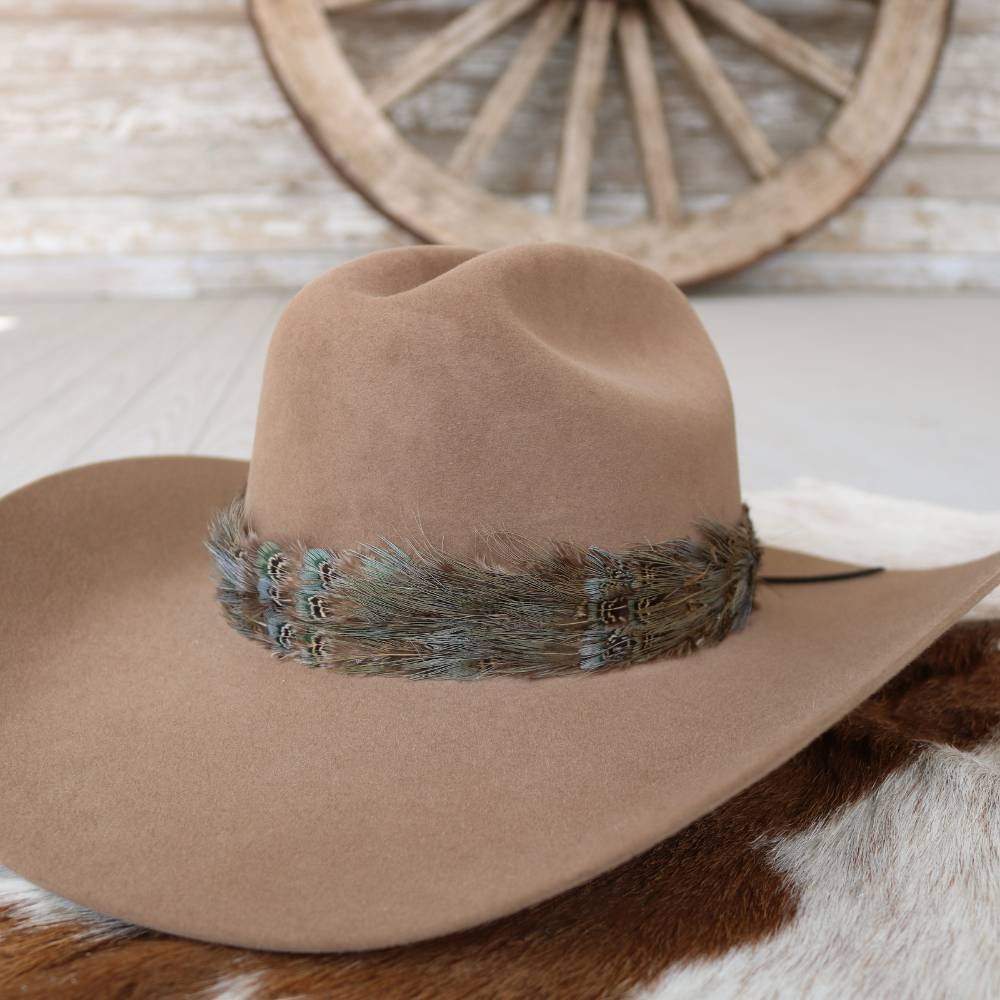 Brown cowboy hat with dark feather band and teal details