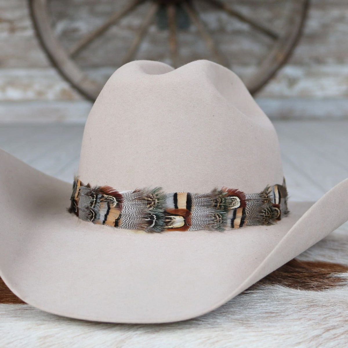Western Feather Hat Band - Beau