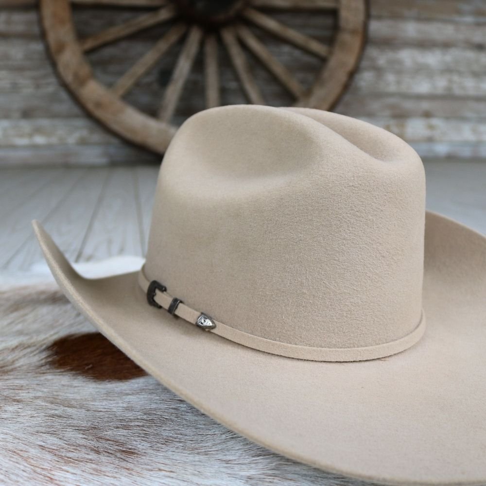 Twister Men's Felt Silverbelly Cowboy Hat