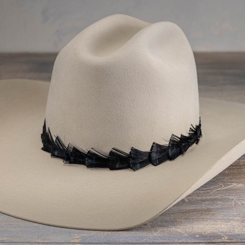 Iridescent Black Feather Hat Band - Sable