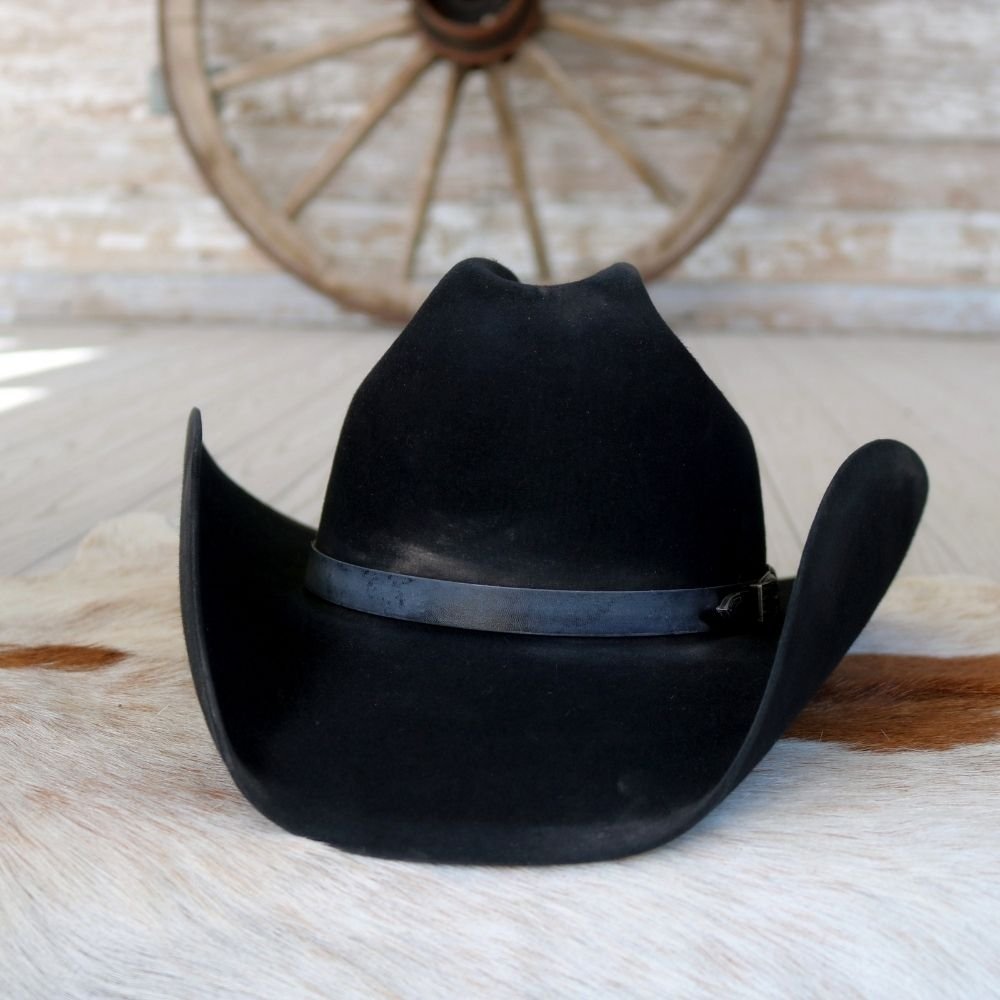 Stetson 6X Boss of the Plains Fur Felt Cowboy Hat – Willow Lane
