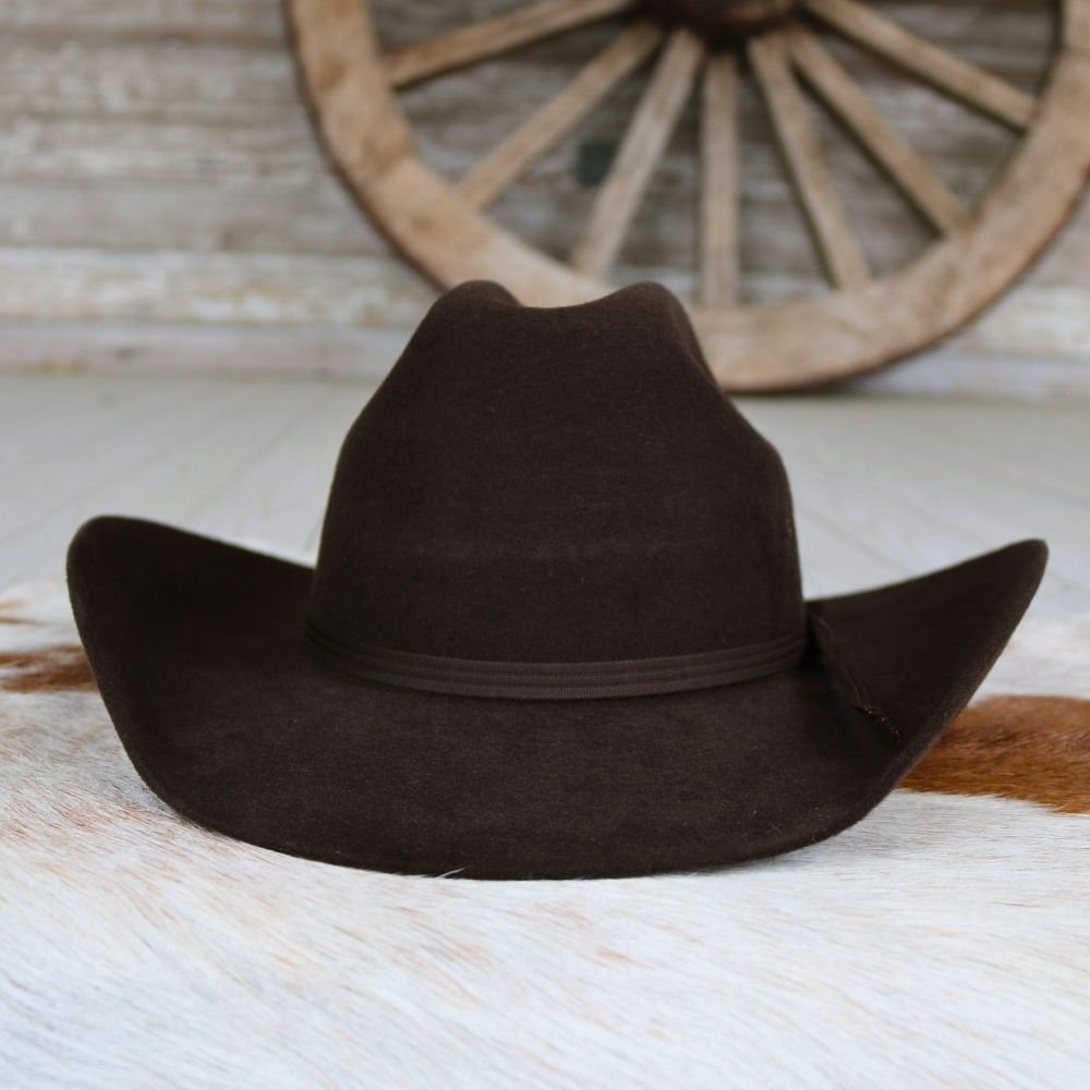 Twister Boys Brown Felt Cowboy Hat