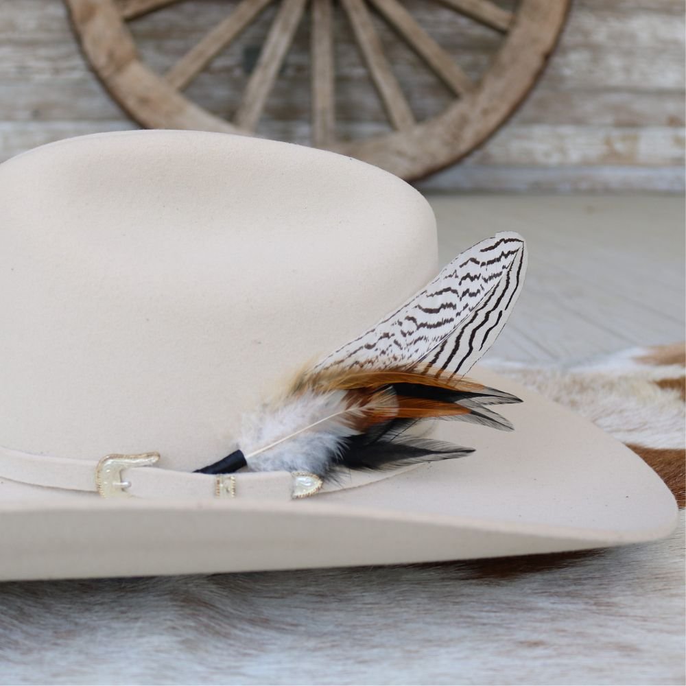 【if you have/Feather Hat】 if you have Feather Hat / イフユーハブ フェザーハット