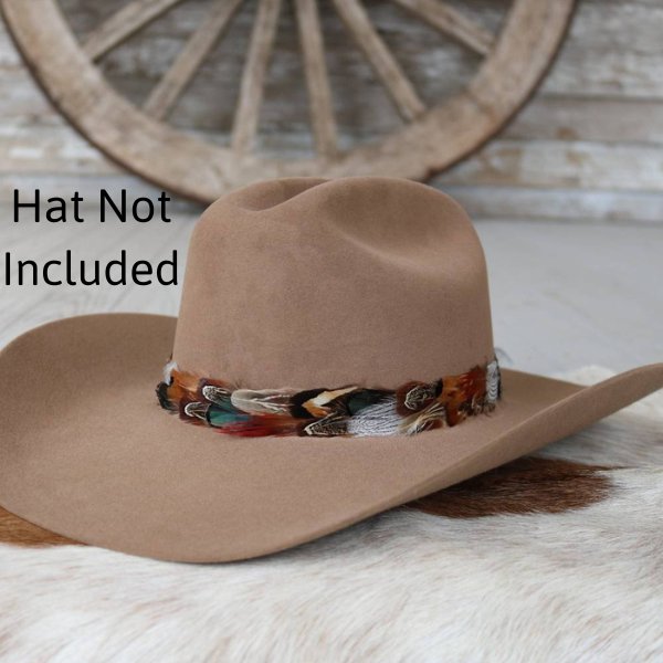 Western Feather Hat Band - Vistoso