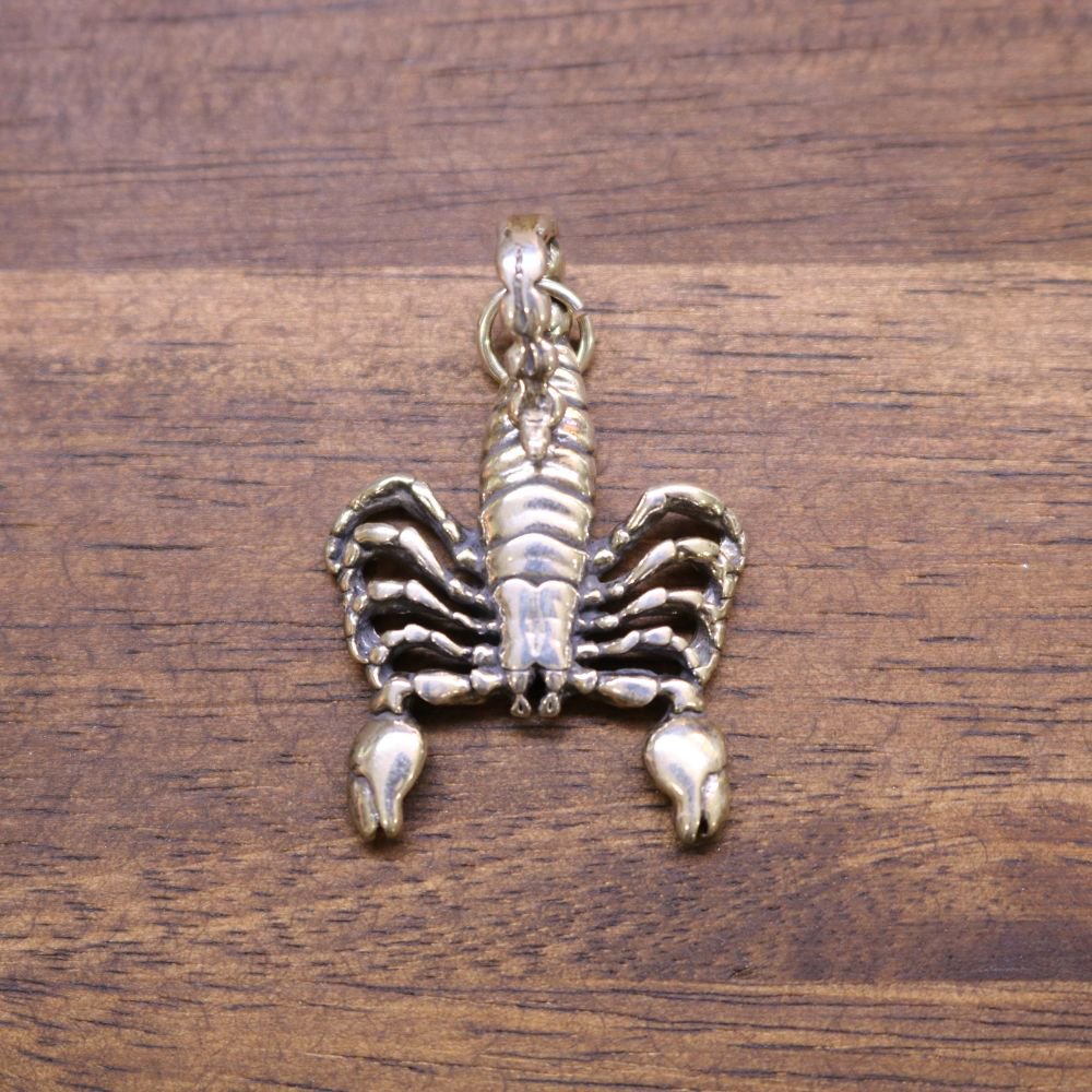 Sterling silver scorpion pendant with segmented body and dark-outlined legs