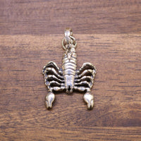 Sterling silver scorpion pendant with segmented body and dark-outlined legs