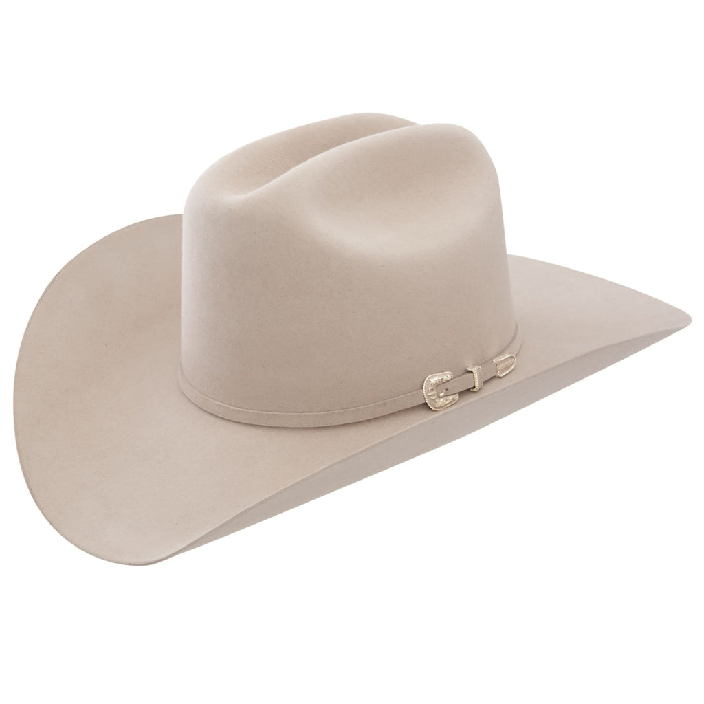 Stetson 6X Silverbelly Fur Felt Cowboy Hat - Skyline