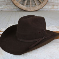 Twister Boys Brown Felt Cowboy Hat