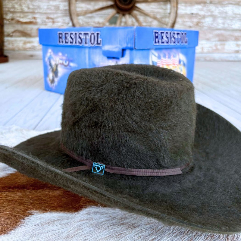 Resistol CJ Grizzly Mountain 6X Sage Cowboy Hat