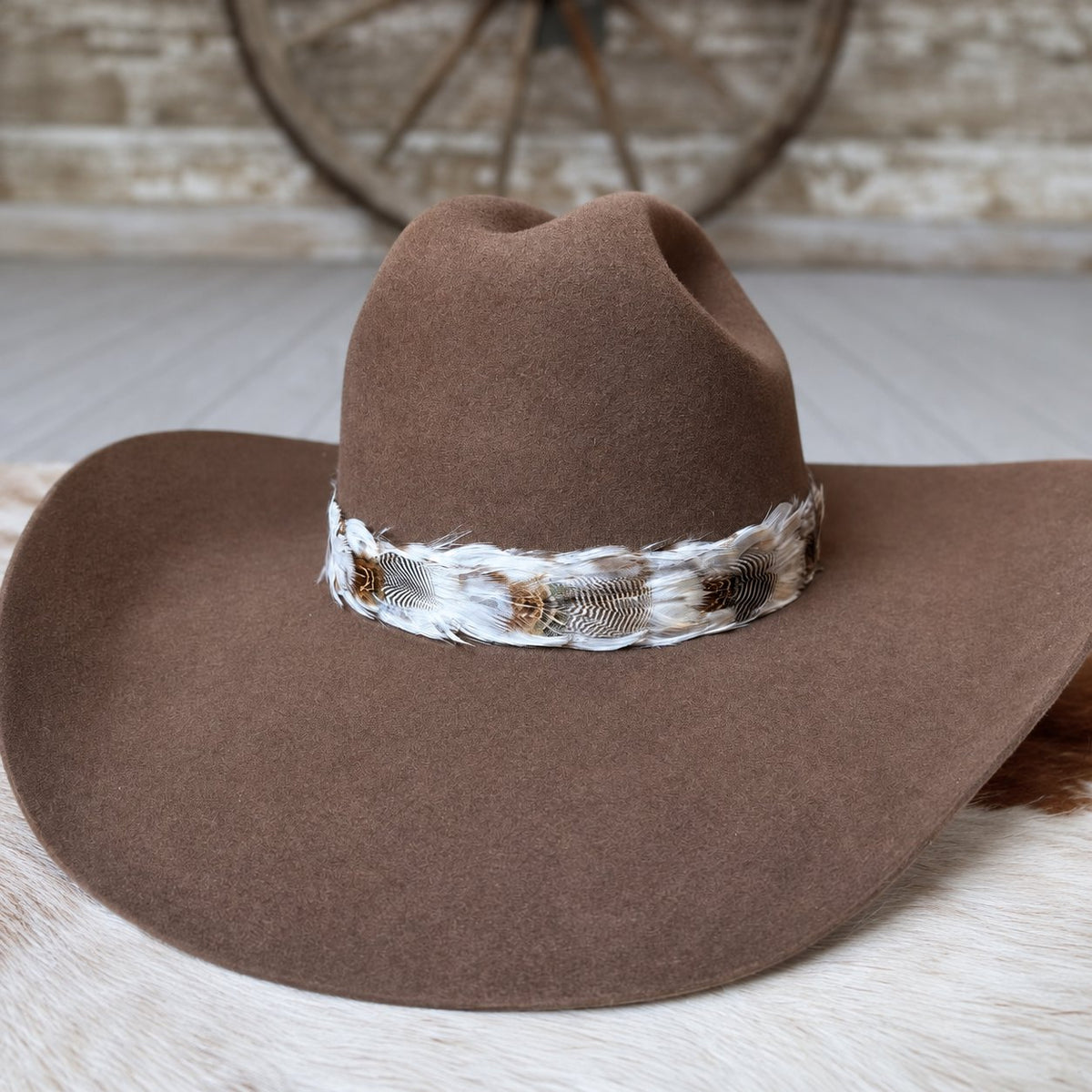 Western Feather Hat Band - Wren