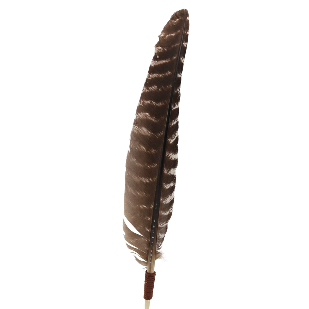 Turkey Feather Hat Accent - The Goliad