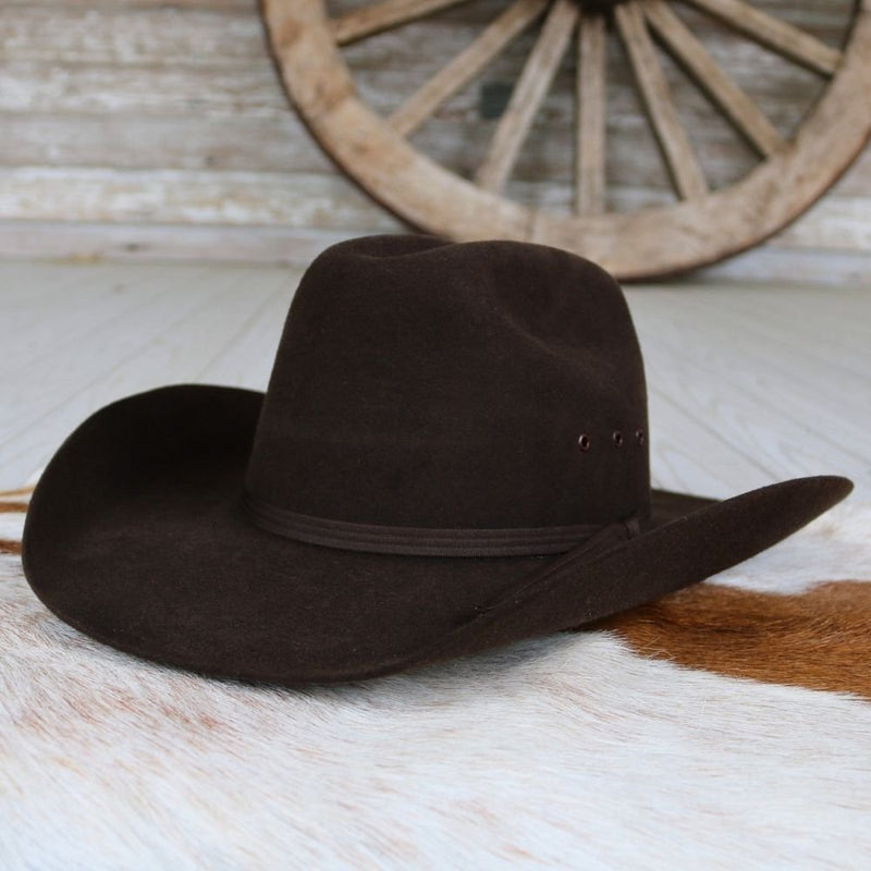 Twister Boys Brown Felt Cowboy Hat
