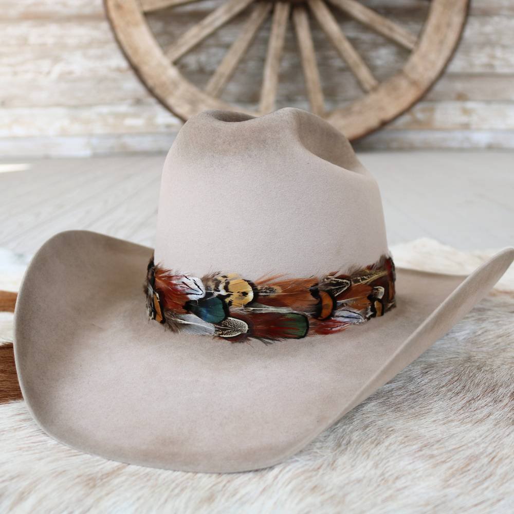 Tan western felt cowboy hat with multicolor feather band