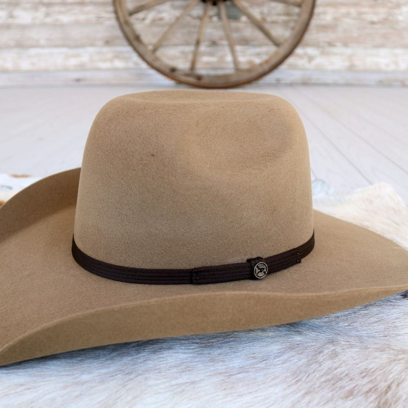 RESISTOL Men's Hooey Day Money Cowboy Hat
