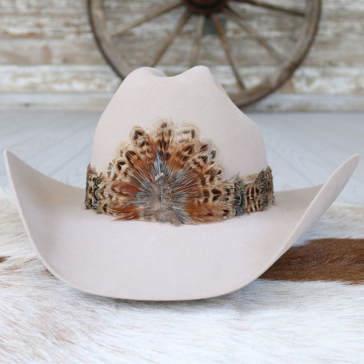 Western Feather Hat Band - Moab