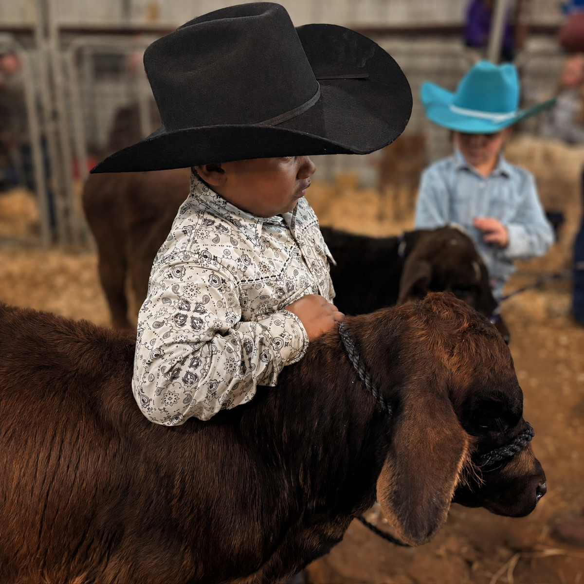 Stetson Boys' Rodeo Jr. Wool Felt Cowboy Hat Black
