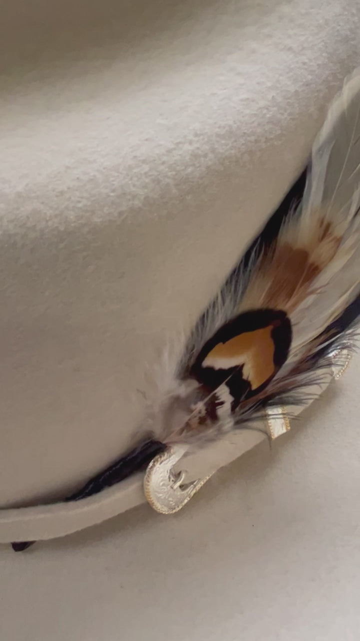 Feather Hat Accent - Ringtail
