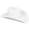 Bailey 4X White Wool Blend Cowboy Hat | Lightening