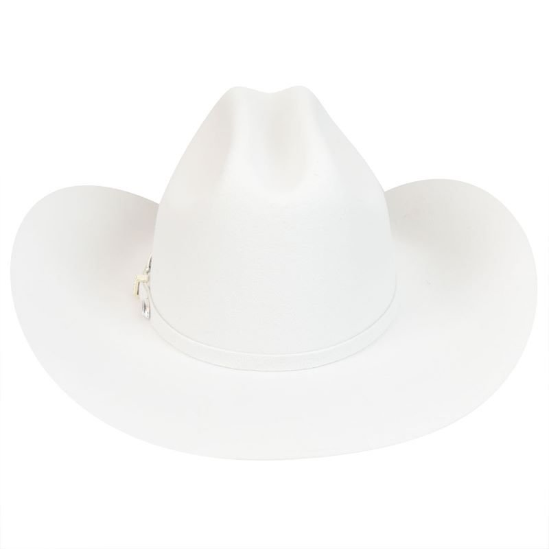 Sold at Auction: Bailey Hats Stetson Wide Brimmed Feather Cowboy Hat