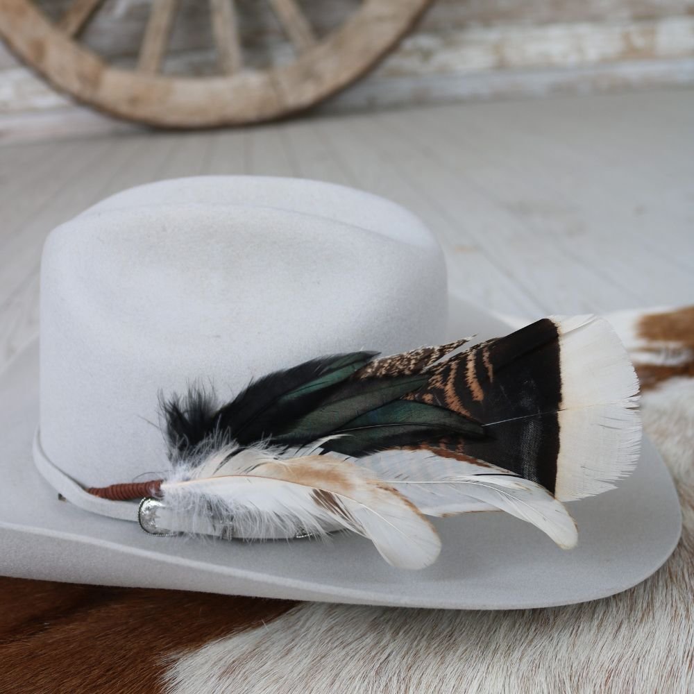 Feather Hat Accent - Chiseler – Willow Lane Hat Co.