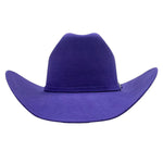 Bailey 4X Purple Fur Blend Cowboy Hat