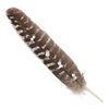 Turkey White Stone Hat Feather