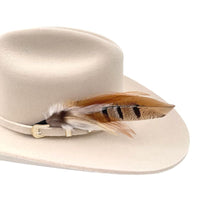 feather hat accent | Phoenix