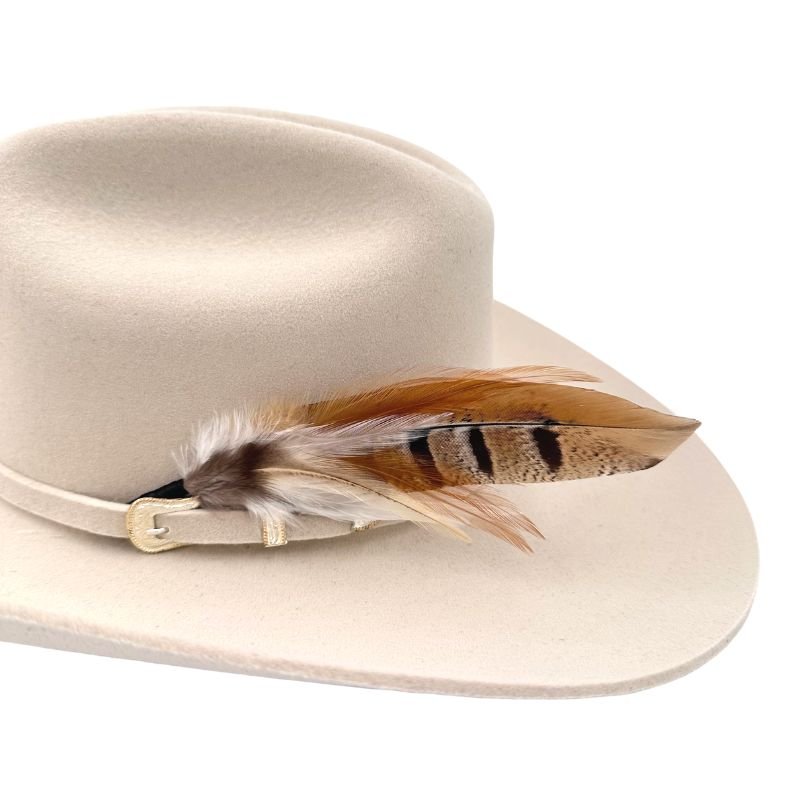 feather hat accent | Phoenix