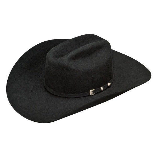 ARIAT 2X WOOL BLACK DOUBLE S cowboy hat
